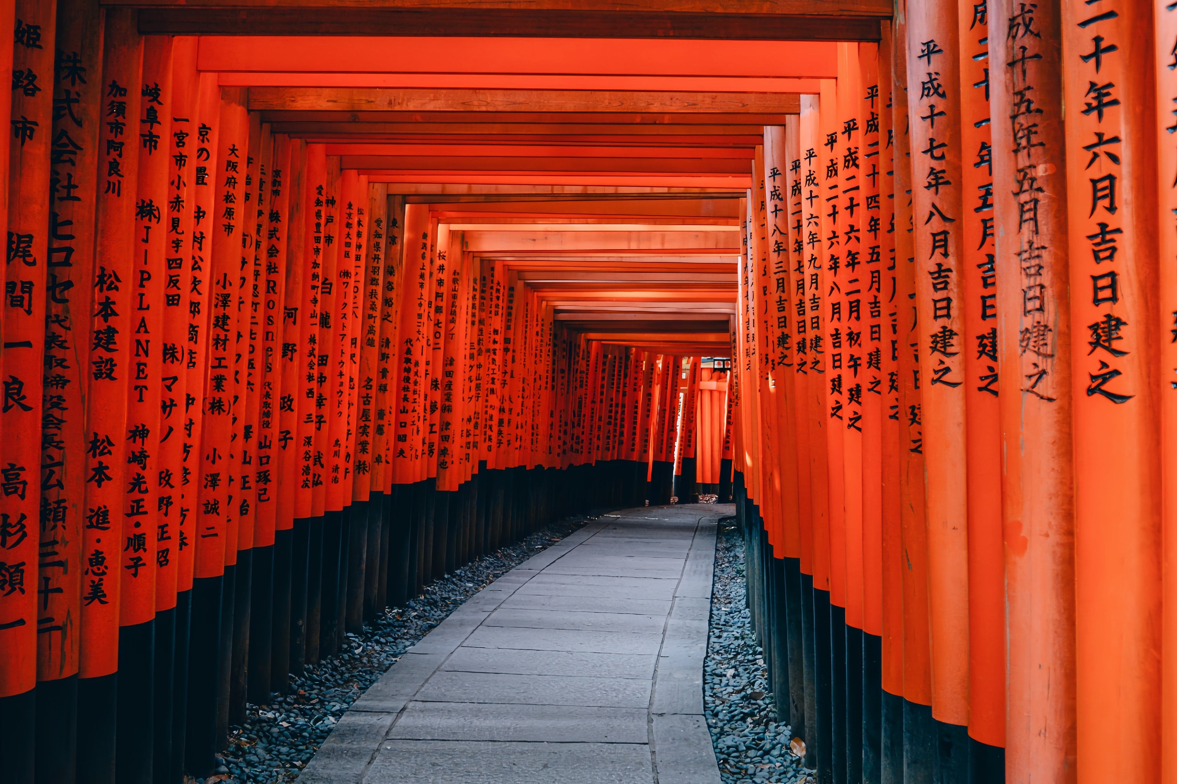 Best Time to Visit Japan: A Month-by-Month Guide 🇯🇵