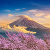 Private Guided Tour To Mount Fuji With Roundtrip Transfer 🌋