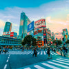 Tokyo Round Trip Private Tour 🗼