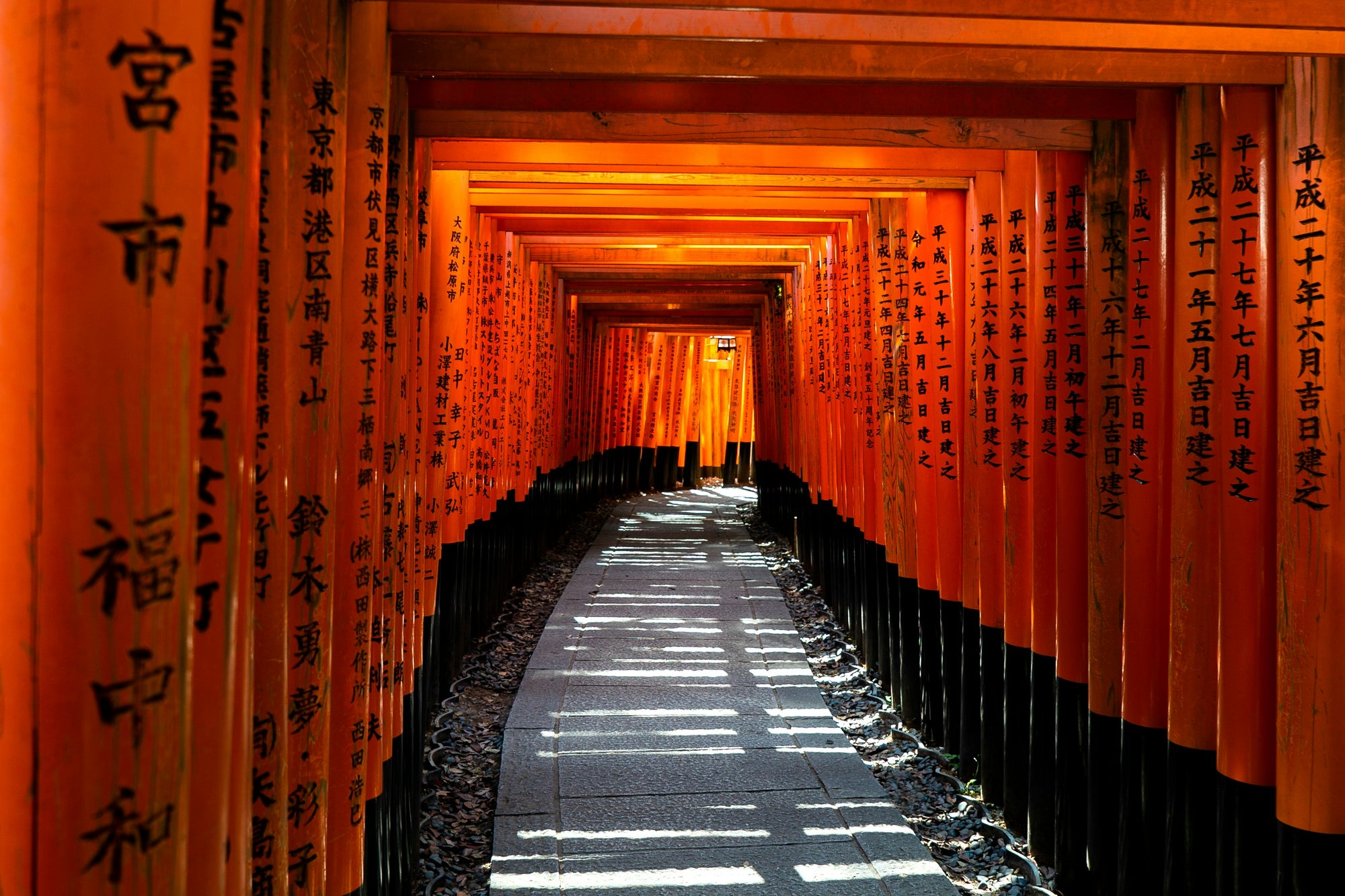 Kyoto Full-Day Heritage & Culture Tour 🏯