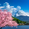Private Guided Tour To Mount Fuji With Roundtrip Transfer 🌋