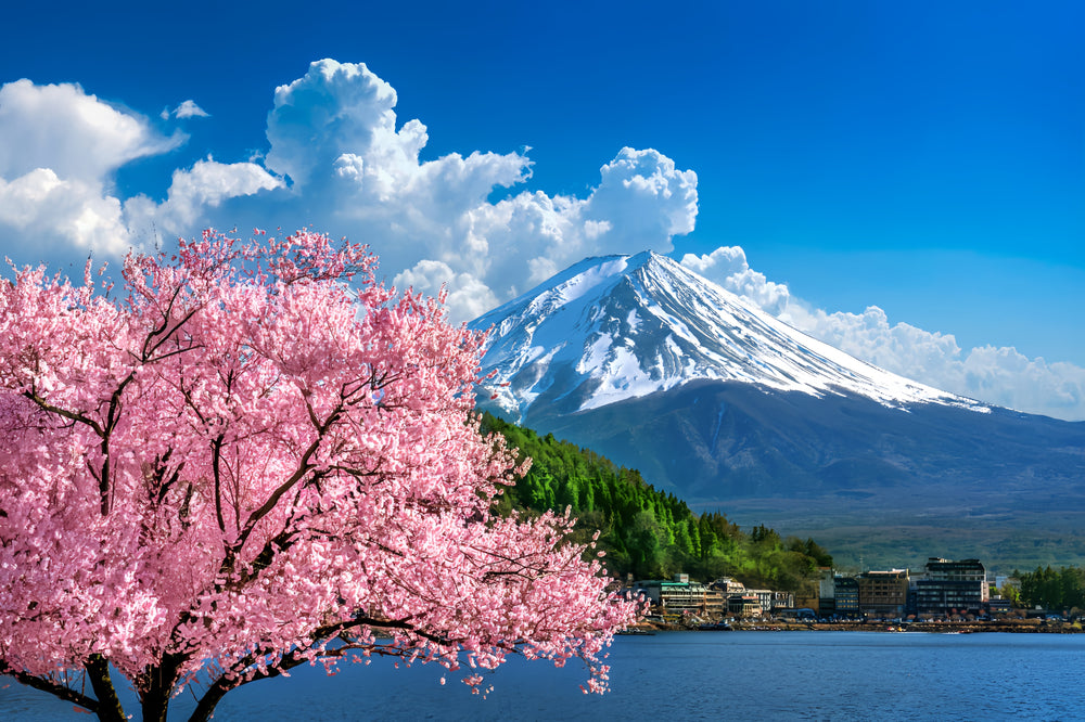 Private Guided Tour To Mount Fuji With Roundtrip Transfer 🌋